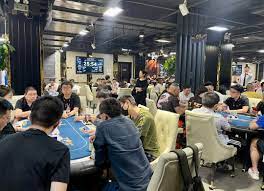 提示的赛事策略与建议-开云体育